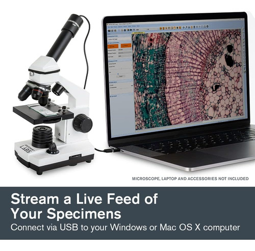Celestron - Imágenes De Microscopio Usb Digital Cmos De 5 Mp - Cámara Digital Captura Imágenes De Alta Resolución Y Video De 30 Fps - Perfecto Para Educación Científica Y Aula - Con Mac Os