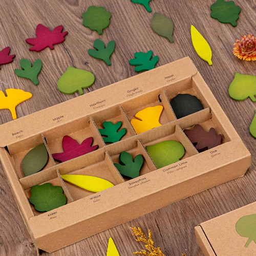 Rompecabezas De Madera Leaf Geografía Educativa Para Niños