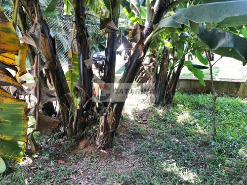 Imagem 2 de 14 de Terreno Em Condominio