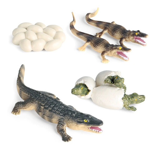 Dinosaurio Jurassic Dinosaurios Esqueleto