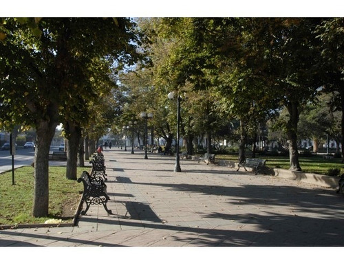 Los Ciruelos de Buin