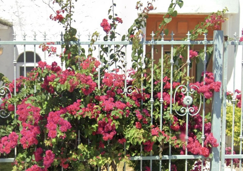 Casa En Venta ¡excelente Inversión! Única Oportunidad De Adquirir Esta Propiedad
