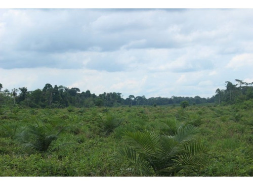 Imagen 4 de 4 de Se Vende De Oportunidad 1.165,41 Ha En Esmeralda San Lorenzo
