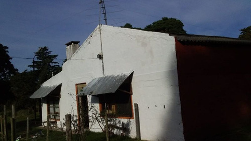 Quinta En Venta En Maldonado