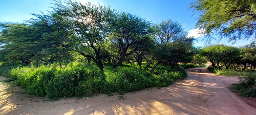 Terrenos En Cabildo-jujuy-catamarca-saavedra, Toay