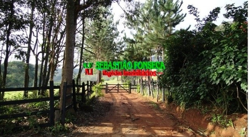 Imagem 7 de 15 de Sítio - Pousada - Haras - Em Pouso Alto / São Lourenço - Mg - 777