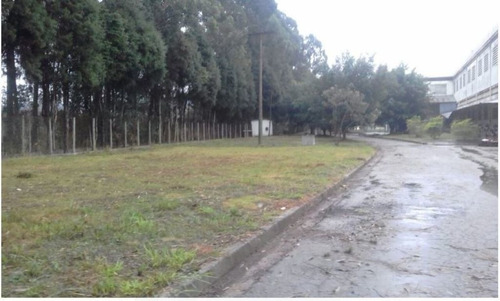 Galpão / Depósito/ Armazém A Venda Com 22.000 M² Área Construída - Mi83654