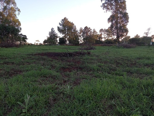 Imagem 12 de 18 de Chácara Com 2 Dormitórios À Venda, 10000 M² Por R$ 750.000,00 - Loteamento Porto Dourado - Foz Do Iguaçu/pr - Ch0020