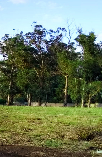 Imagen 1 de 5 de Vendo Amplio Terreno - Lote - En Mar Del Plata - Titular