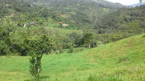 Hermoso Terreno A 2 Horas De Bogotá. Gran Oportunidad