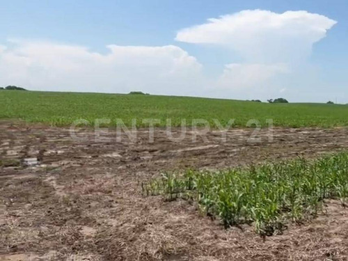 Terreno Venta 68.5 Hectáreas Zona Cercana Parque Industrial Santa Rita Veracruz