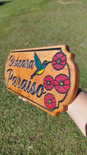 Placa Personalizada Com Sua Frase 40x20cm Colorida