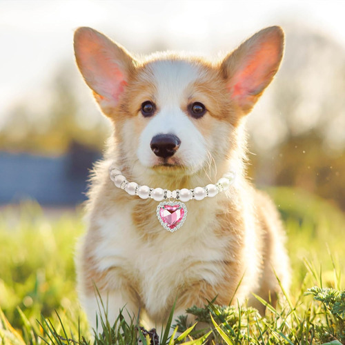 Collar Con Forma De Gato Con Perlas, Bonito Collar Para Cach