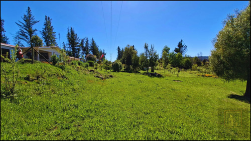 Parcela Con 2 Casas Y 8000m2 De Terreno (126968)