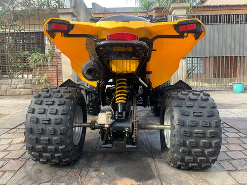 Imagen 3 de 12 de Can Am Ds 250