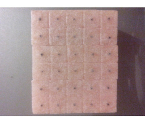 Semillas Para Auriculopuntura. Marca Shen Long. Caja X 100