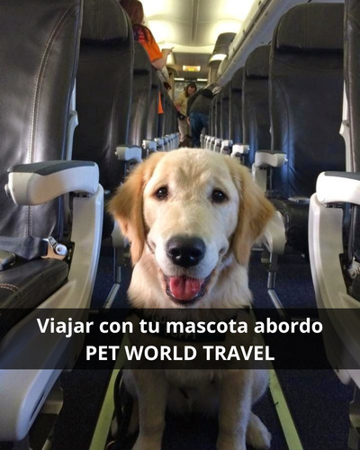 Certificado Service Dog Usa : Pet World Travel