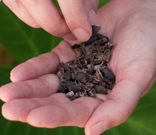 Vero Amore - Glorious Cacao Nibs Organicos Premium 500grs