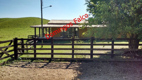 Venda - Fazenda - Zona Rural - Águas De Lindóia - Sp - D0336