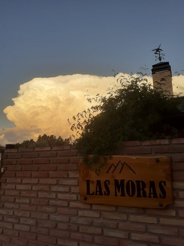 Imagen 8 de 22 de Cabañas Las Moras, San Rafael Mendoza