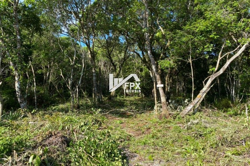 Imagem 3 de 6 de Terreno Na Estância Santa Cruz Em Itanhaém, Litoral Sul