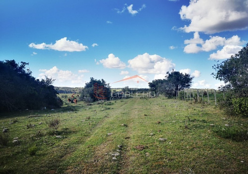 Campo Ganadero En Venta En Maldonado, A 60 Km De Punta Del Este- Ref: 26296