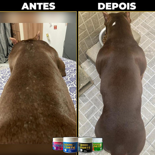 Vitamina Para Abrir O Apetite Cachorro Forte 250g
