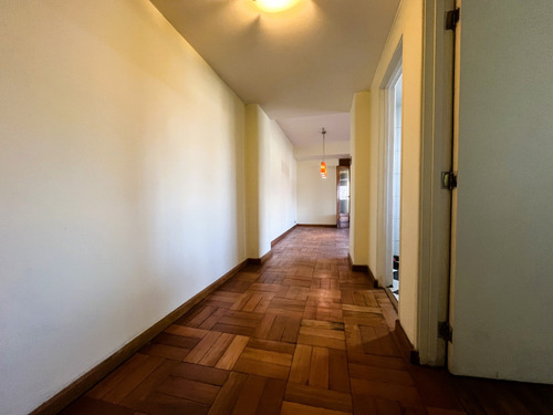Amplio Departamento 3d+2b Con Vista Parque Forestal