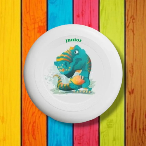 Combo Pack X10 Frisbee Junior 23cm 125g Disco Modelos Varios