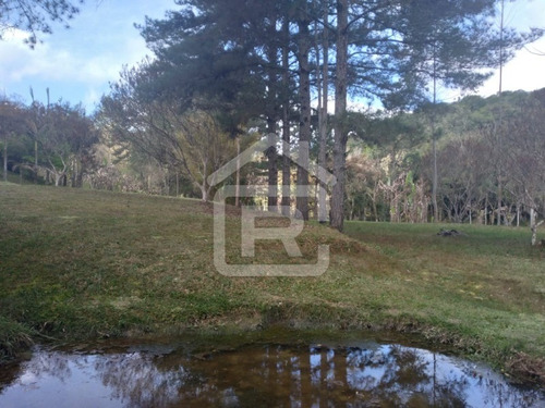 Imagem 12 de 30 de Itio Ideal Para O Seu Lazer Tendo 3 Lagos Piscosos Com Peixe, 02 Nascentes Próprias, Pomar, Horta. - 77 - 70066608