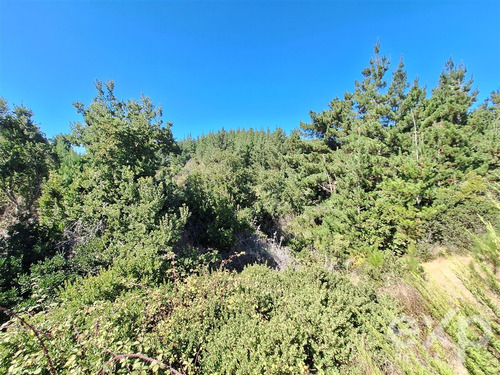 Casa En Venta De 2 Dorm. En Pichilemu