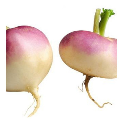 Semillas Nabo Redondo Cuello Violeta X 5gr (2500 Semillas)