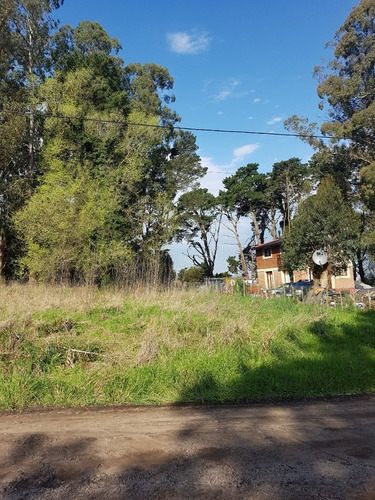 Imagen 4 de 6 de Lote Sierra De Los Padres Zona Pierina Y Pascual
