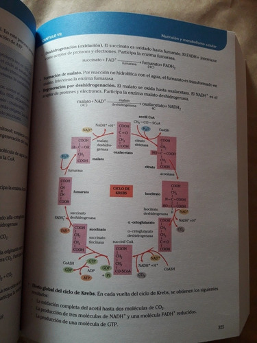 Imagen 9 de 10 de Libro De Biologia Tomo 1 Lumbreras
