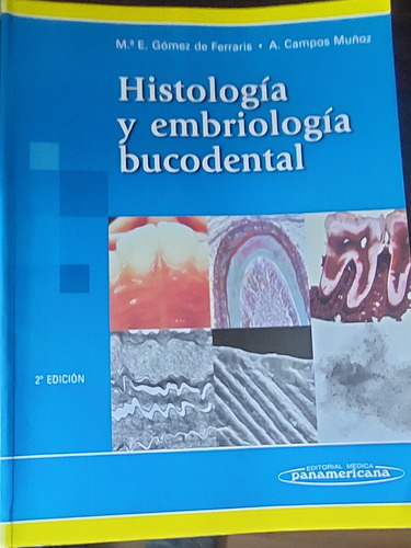 Histologia Y Embriologia Bucodental