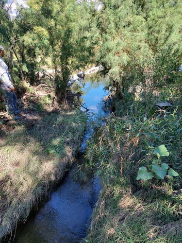 Campo 383 Ha En Conlara Merlo Lafinur San Luis. Con Riego Y Natural. Para Cría, Engorde, Tambo.
