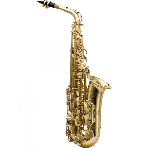 Saxofone Alto Has-200l Harmonics  Case Mochila