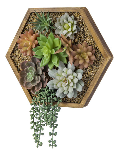 Mygift Plantas Suculentas Para Colgar En La Pared, Maceta Ve