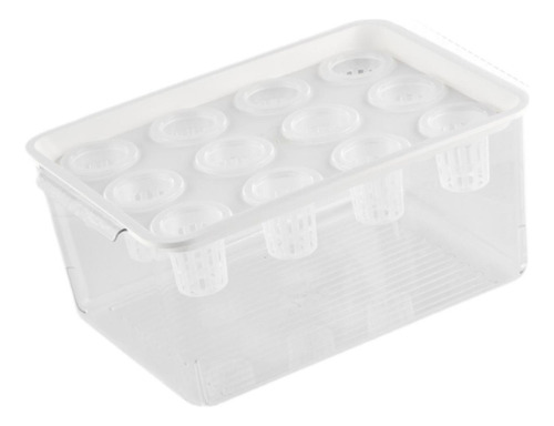 Caja De Hidropónico, Contenedor De Plantación Con