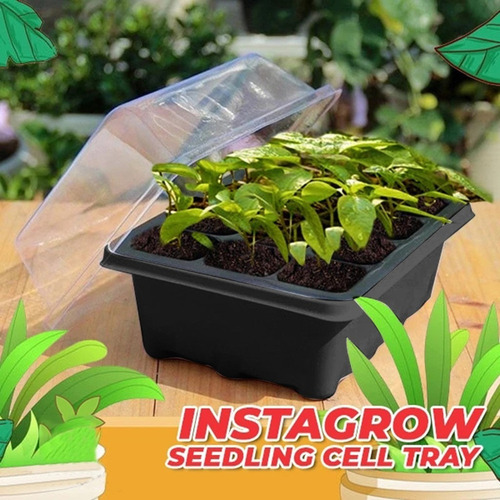 Caja De Cultivo De Semillas De Plantas De 12 Hoyos,