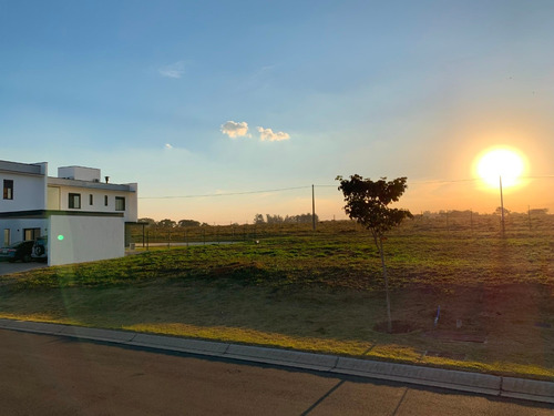 Imagem 10 de 14 de Haras Patente - O Melhor Terreno Do Bairro - Jaguariúna
