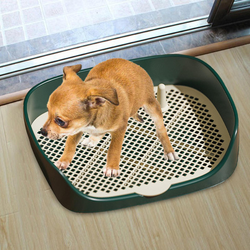 Inodoro Para Perros, Bandeja Para Ir Al Baño Para Verde L