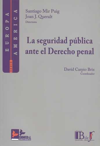 Libro Seguridad Pública Ante El Derecho Penal, La