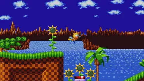 Jogo Nintendo Switch Sonic Mania Midia Fisica