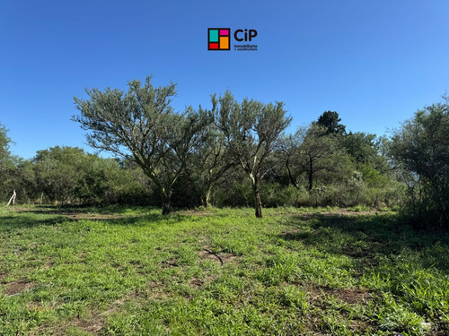 Galpón En Venta En Los Molles