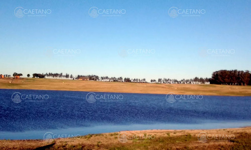 50 Metros De Costa, Acepta Financiacion Sin Interes, Venta, Chacra, Punta Del Este, Uruguay, Laguna De Los Cisnes