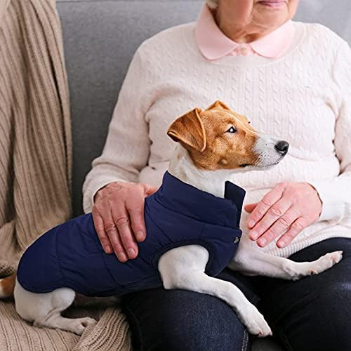 Chaqueta Para Perros De 2 Piezas Chaqueta Para Perros Cálida