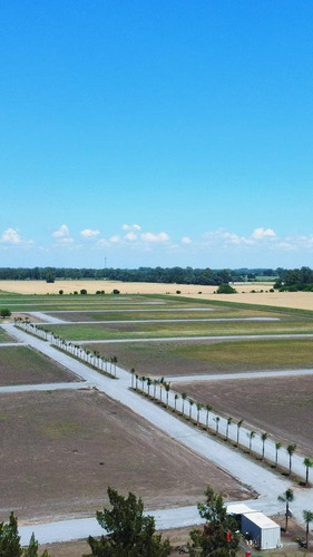 Imagen 10 de 11 de Terreno - Altos De Los Cardales