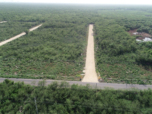 Imagen 2 de 13 de Xamantu Telchac Lotes Campestres Dic 2021