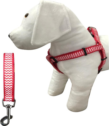 Coleira Peitoral Guia Cachorro Raças Pequenas Poodle Tam M